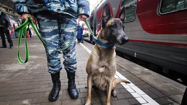 Транспортники усиливают меры безопасности