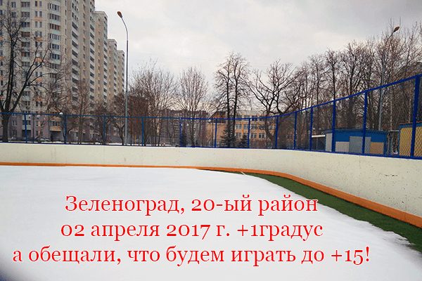 ran-she-vremeni-rasstayali-katki-v-zelenograde