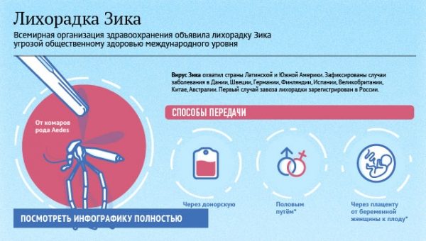 В Индии три человека заразились вирусом Зика