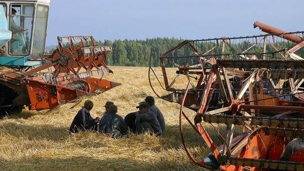Турция продержалась неделю