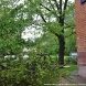 В результате урагана Зеленоград и ТиНАО пострадали меньше других округов столицы