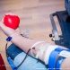 Почти 50 человек приняли участие в выездной донорской акции «Доброволец»