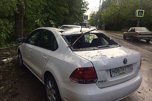 Зампрефекта рассказал о последствиях урагана в Зеленограде