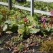 Для маленьких обитателей «Дома лани» построили открытые вольеры