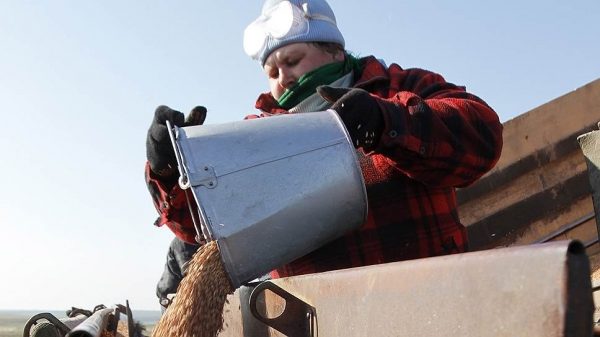 ОЗК прибило ценами