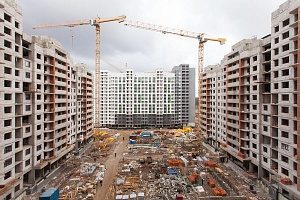Бдительный водитель такси помог поймать вора