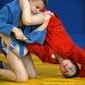 В Зеленограде прошел командный турнир по самбо в честь Дня Победы