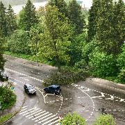 
                    Последствия урагана          