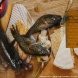 На Школьном озере в Зеленограде прошел фестиваль рыбалки
