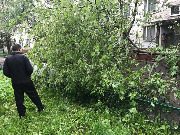 
                    Последствия урагана          