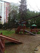 
                    Последствия урагана          