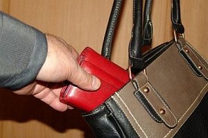 У работницы зоомагазина украли ценные вещи из сумки