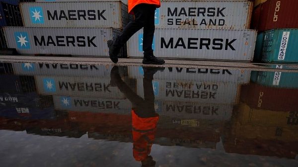 Petya сыграл на понижение