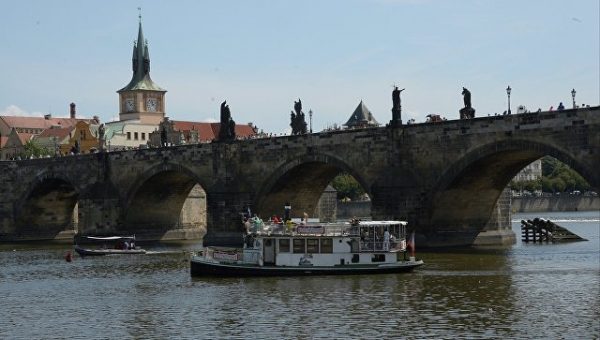 Парламент Чехии запретил с 2019 года разводить животных для добычи меха
