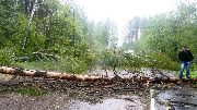 
                    Последствия урагана          