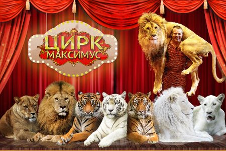 
                    Цирк-шапито с белыми тиграми будет давать представления у «Зеленопарка» до конца июня          