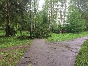 
                    Последствия урагана          