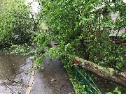 
                    Последствия урагана          