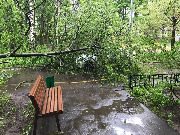 
                    Последствия урагана          