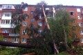
                    Количество поваленных ураганом деревьев в Зеленограде возросло до 3 тысяч          