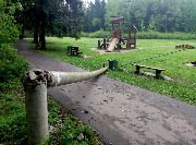 
                    Последствия урагана          
