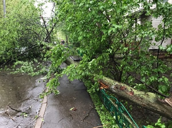 
                    «Мы родились в рубашке»          