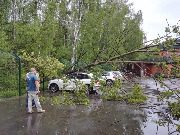 
                    Последствия урагана          