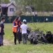 Участники экологического квеста «Эко-Zeленоград» собрали 700 кг мусора
