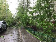 
                    Последствия урагана          
