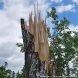 В зеленоградских лесопарках ликвидируют последствия стихии