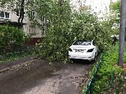 
                    Последствия урагана          