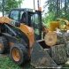 В зеленоградских лесопарках ликвидируют последствия стихии
