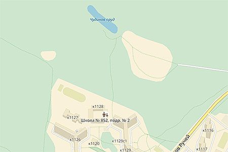 
                    Неизвестный сбил беременную девушку в лесопарке          
