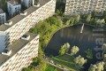 
                    В лесу под Зеленоградом нашли труп неизвестного          