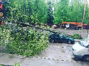 
                    Последствия урагана          