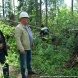 В зеленоградских лесопарках ликвидируют последствия стихии