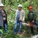 В зеленоградских лесопарках ликвидируют последствия стихии