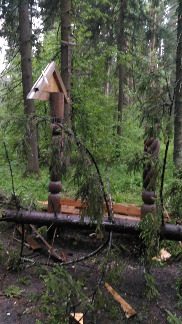 
                    Последствия урагана          