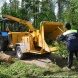 В зеленоградских лесопарках ликвидируют последствия стихии