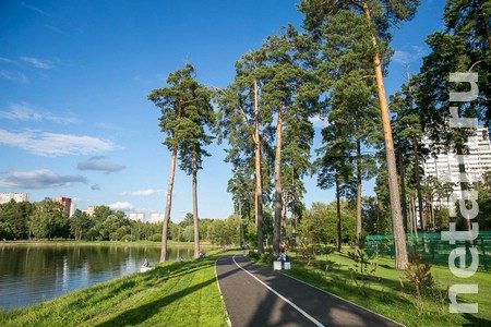 
                    В субботу на Школьном озере пройдет фестиваль рыбалки          