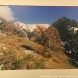 В Зеленограде открыта фотовыставка Георгия Богословского, посвященная Году экологии