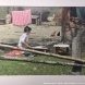 В Зеленограде открыта фотовыставка Георгия Богословского, посвященная Году экологии