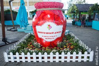 
                    Джем под эстакадой          