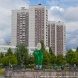 Зеленоград украсили огромные ромашки