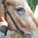 У Школьного озера прошел День семьи, любви и верности