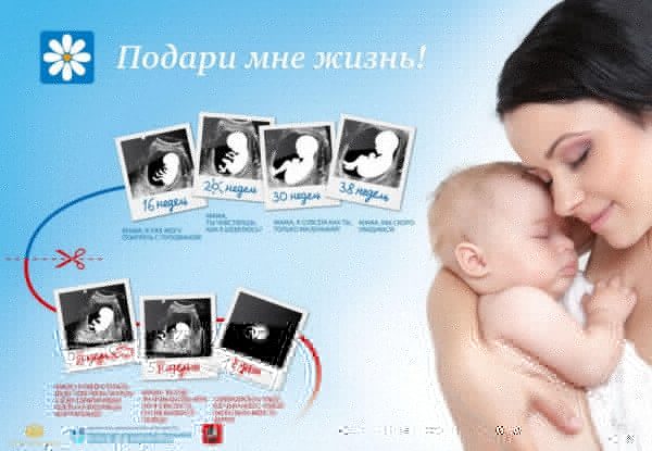 Всероссийская акция «Подари мне жизнь»!