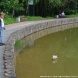 На Дунькином пруду прошла парусная регата