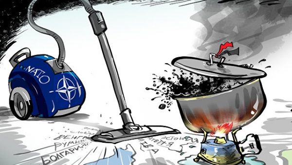 Эксперт оценил шансы Киева получить план действий по членству в НАТО