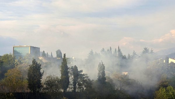 Вдоль побережья Адриатического моря вспыхнули лесные пожары