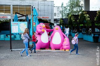 
                    Джем под эстакадой          